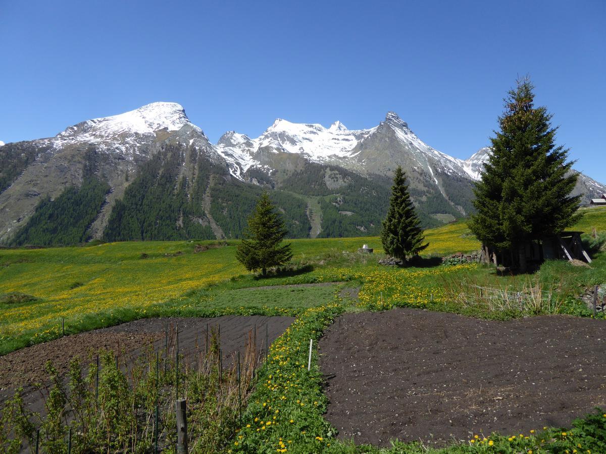 Hotel Locanda Grauson Cogne Exteriör bild
