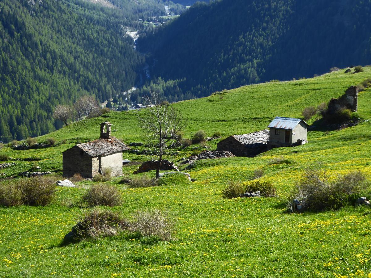 Hotel Locanda Grauson Cogne Exteriör bild