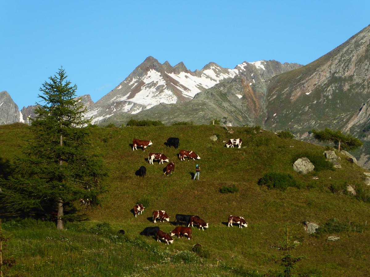 Hotel Locanda Grauson Cogne Exteriör bild